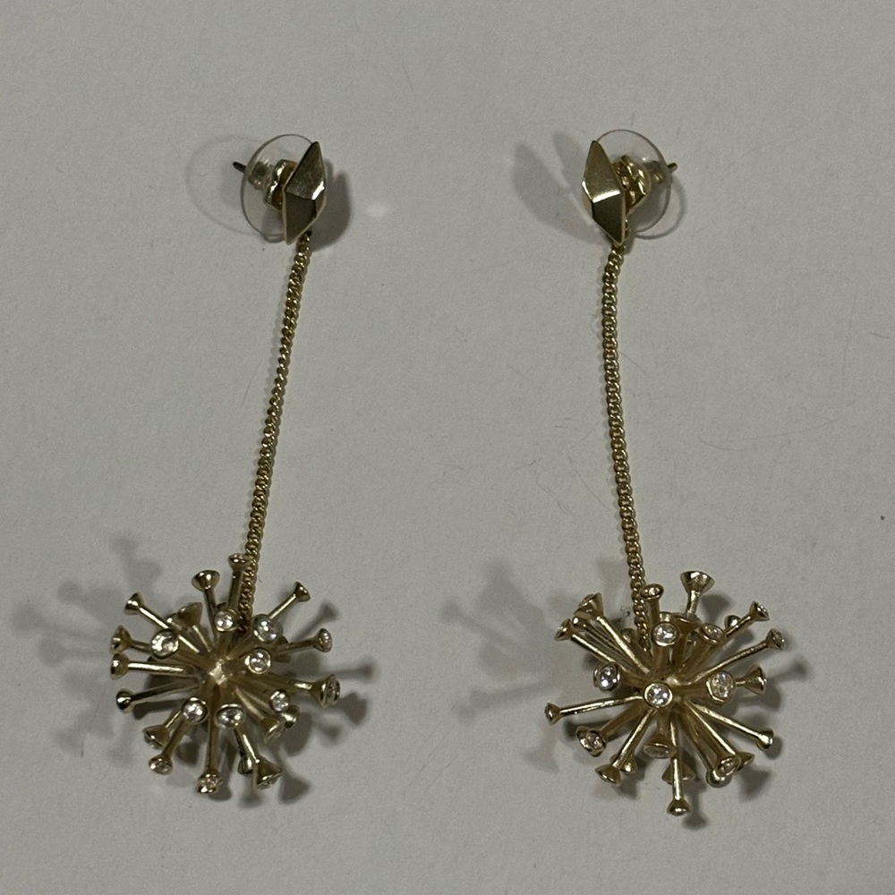 Kendra Scott earrings